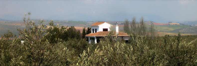 casa rural olivar