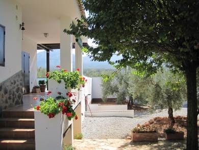 casa rural entreolivos patio